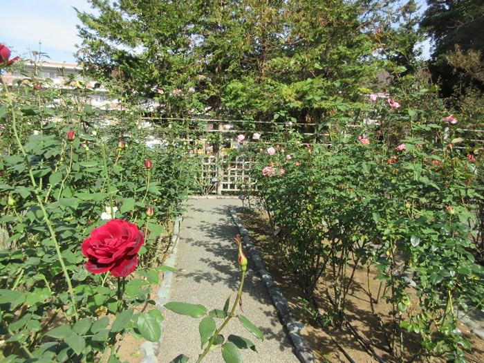 b0009849_10304039.jpg