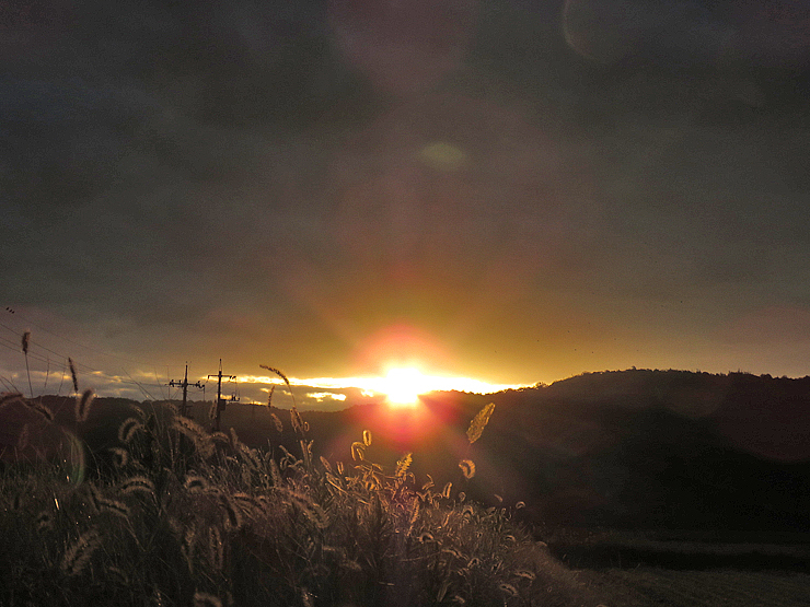 f0214649_05071634.jpg