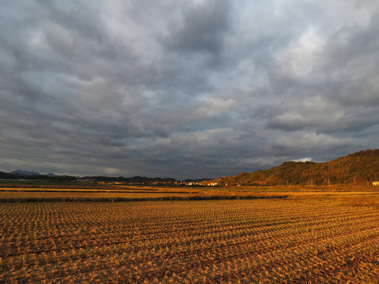 11月のお散歩_f0214649_05084375.jpg