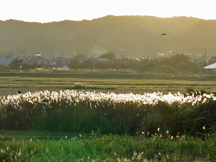 f0214649_05215414.jpg