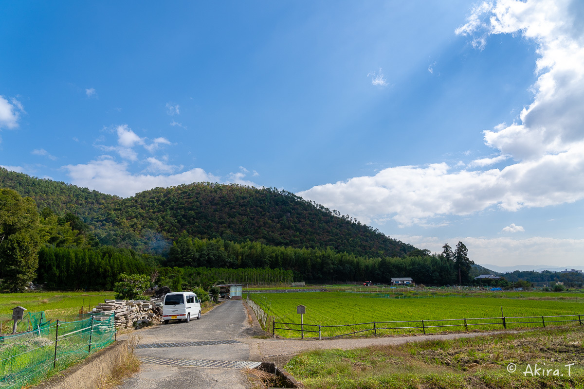 長閑な田園風景 -2-_f0152550_23000686.jpg