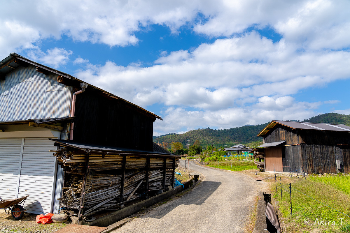 長閑な田園風景 -2-_f0152550_23002384.jpg