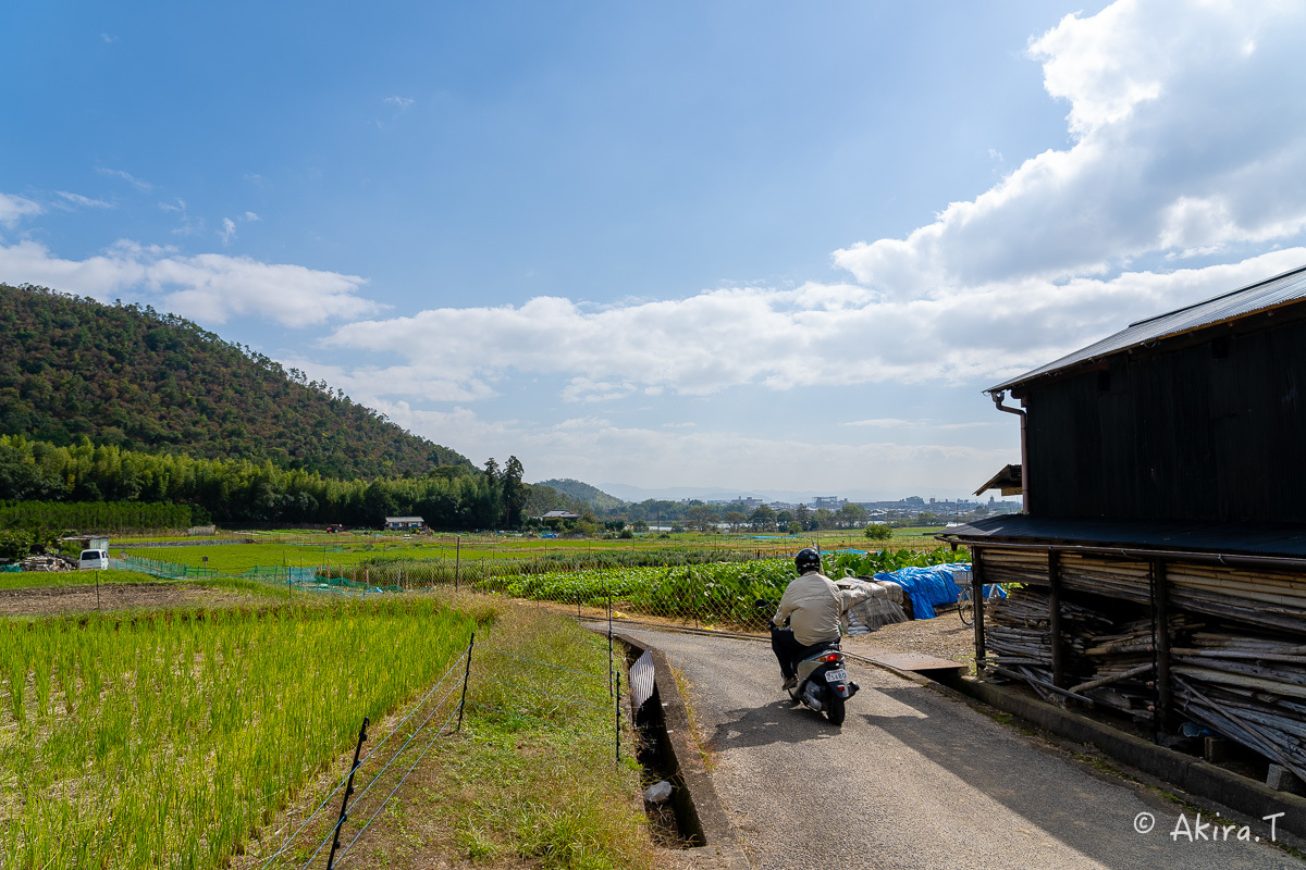 長閑な田園風景 -2-_f0152550_23003174.jpg