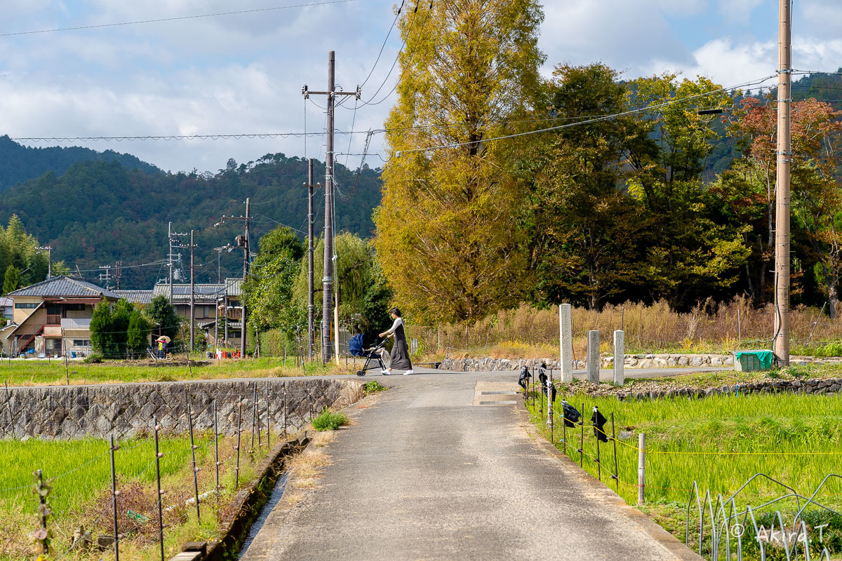 長閑な田園風景 -2-_f0152550_23003927.jpg