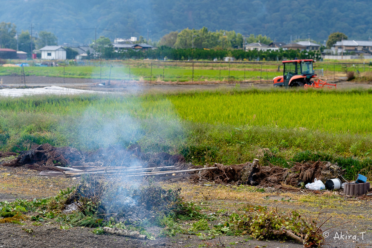 長閑な田園風景 -2-_f0152550_23023029.jpg