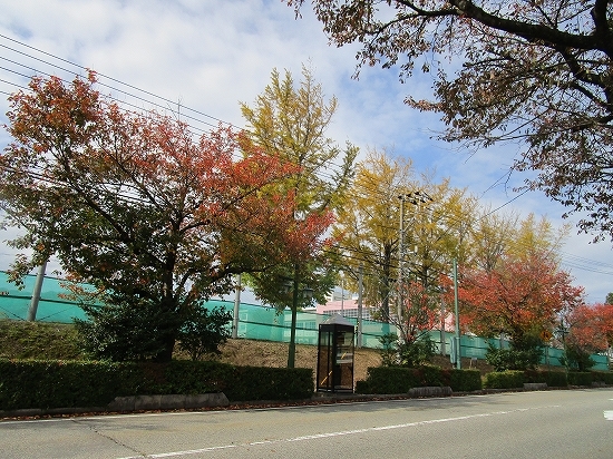 c0327752_14492725.jpg