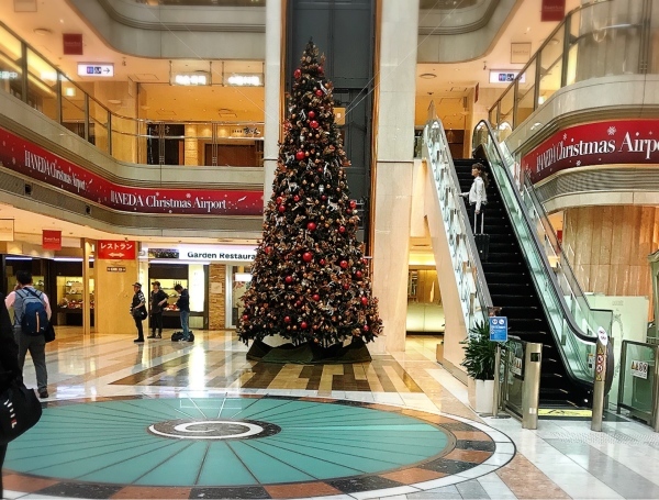 f0304452_07502440.jpeg