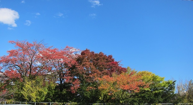 e0014154_23231222.jpg