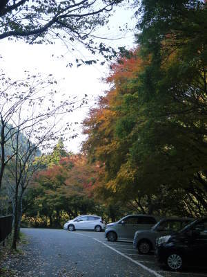 紅葉狩りシーズン到来!!(2018) 菊池渓谷の紅葉は今週末が見ごろです!_a0254656_18172730.jpg