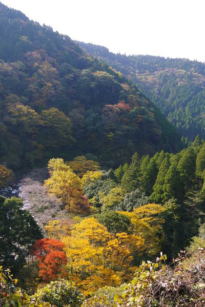 紅葉の季節到来(2022)!菊池渓谷の紹介と菊池、阿蘇スカイラインを阿蘇神社へドライブ!(後編)_a0254656_18380377.jpg