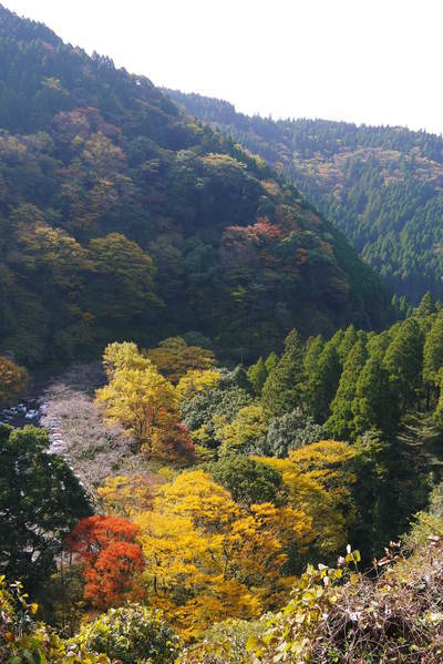 紅葉狩りシーズン到来!!(2018)　菊池渓谷の紅葉は今週末が見ごろです！_a0254656_18380377.jpg