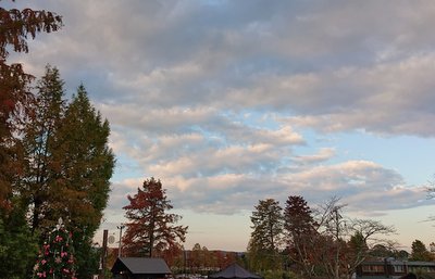 e0364056_120156.jpg