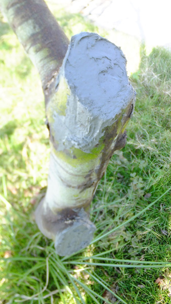 f0260167_21385218.jpg