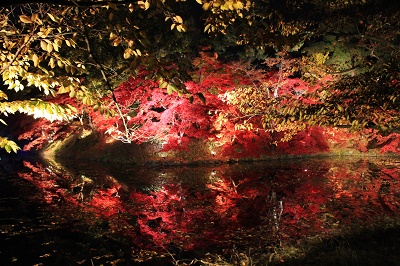 弘前城菊と紅葉まつりライトアップ_2018.11.06_d0131668_14214100.jpg