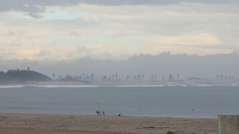 f0350468_10035962.jpg
