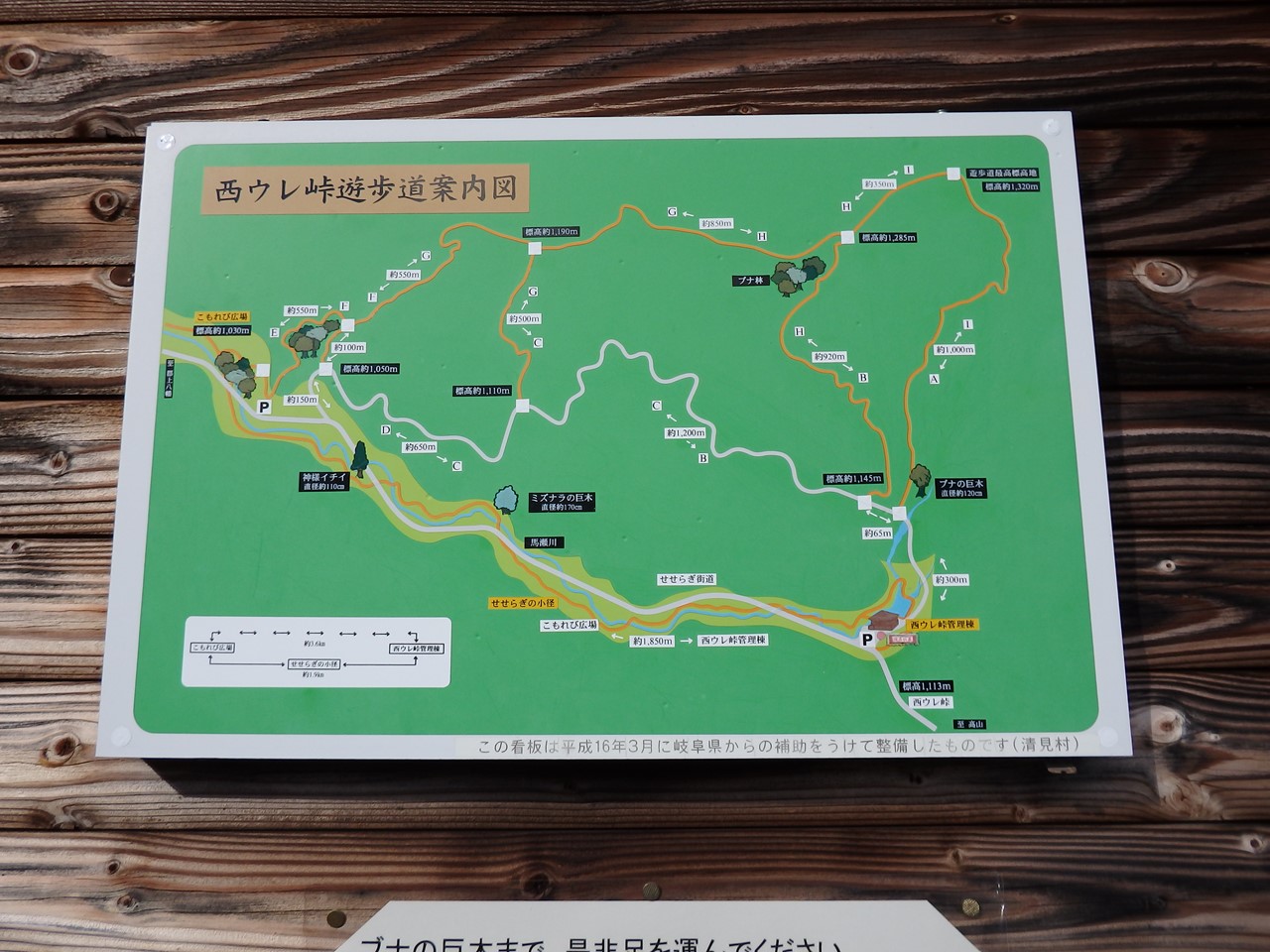 d0054276_20303890.jpg