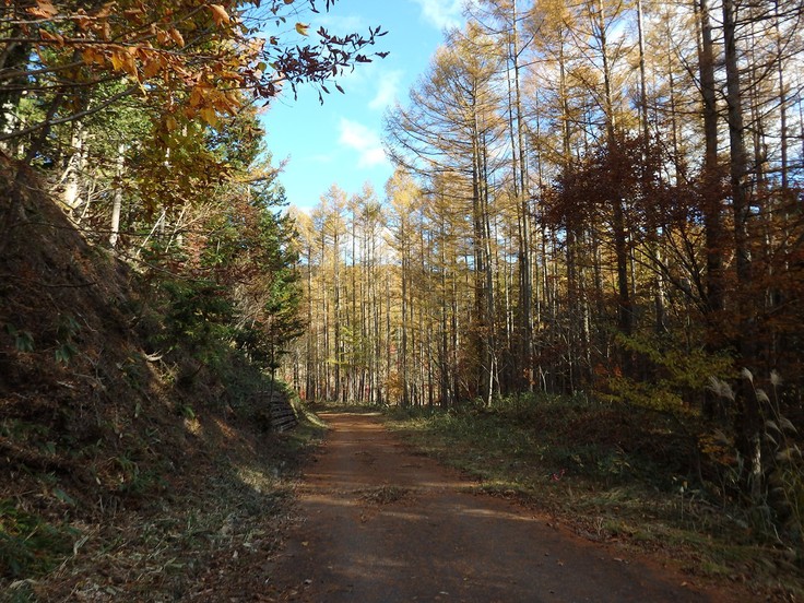 d0054276_20331367.jpg