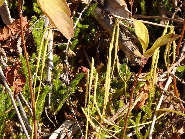 d0054276_20342465.jpg