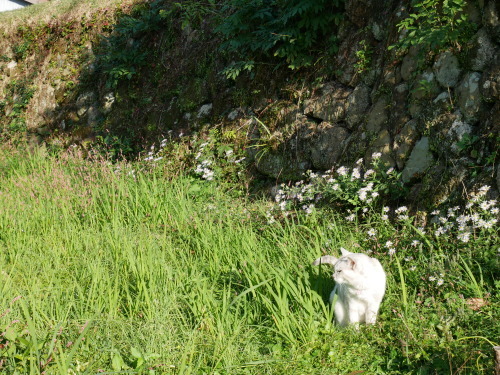 f0054677_08025701.jpg
