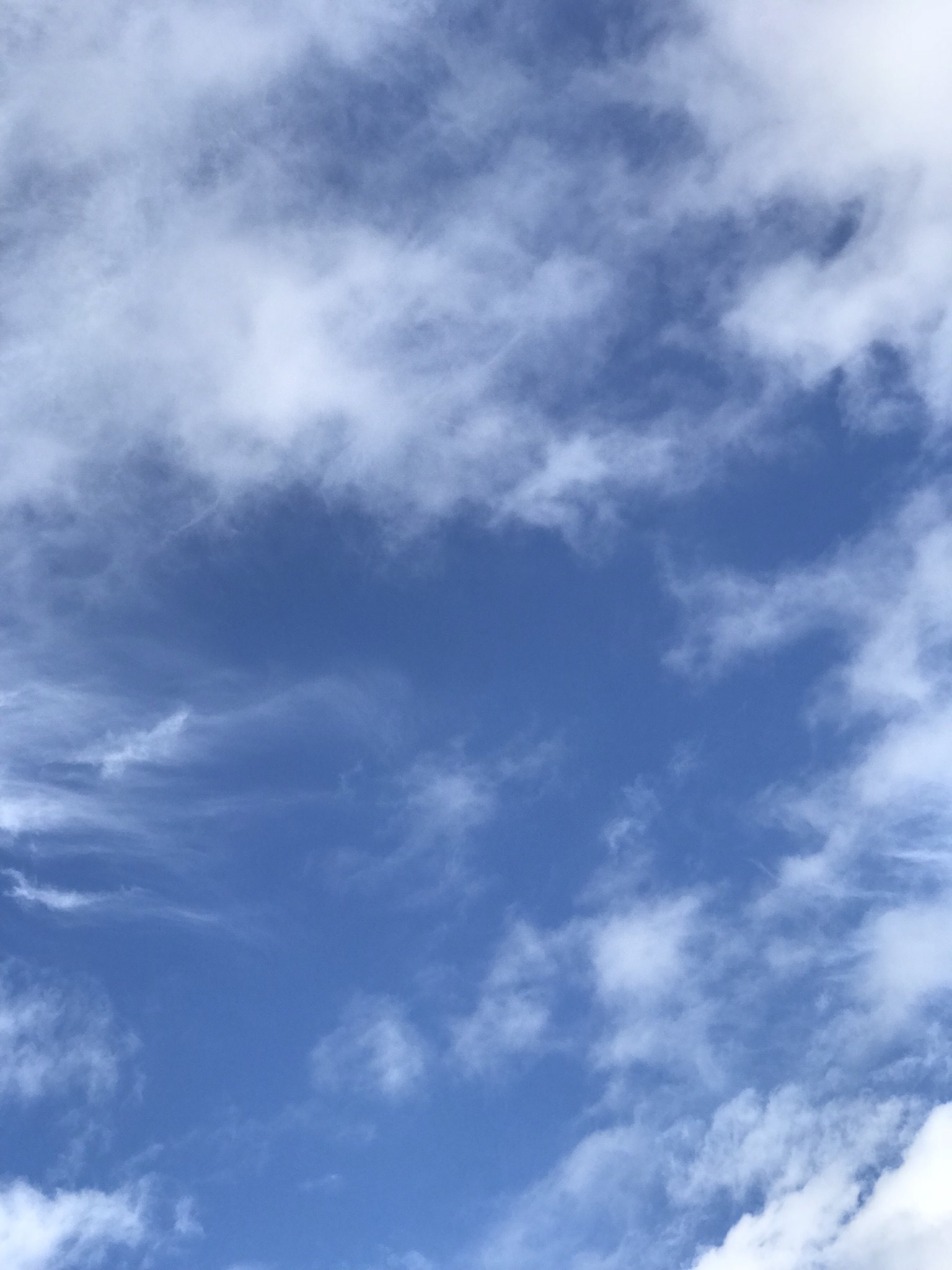 b0193480_13350815.jpeg