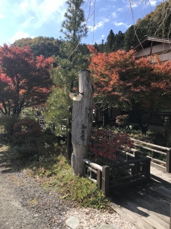b0193480_13354413.jpeg