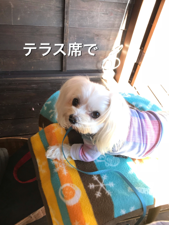 b0193480_13363102.jpeg