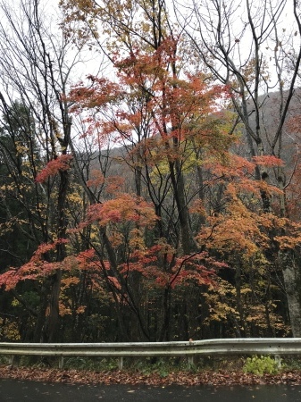b0193480_13371219.jpeg