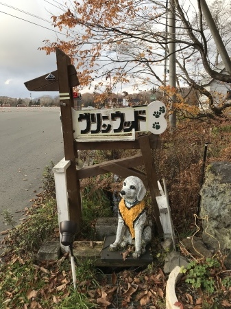 b0193480_13374507.jpeg