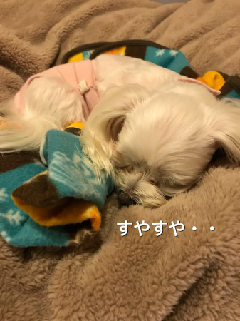 b0193480_13392460.jpeg