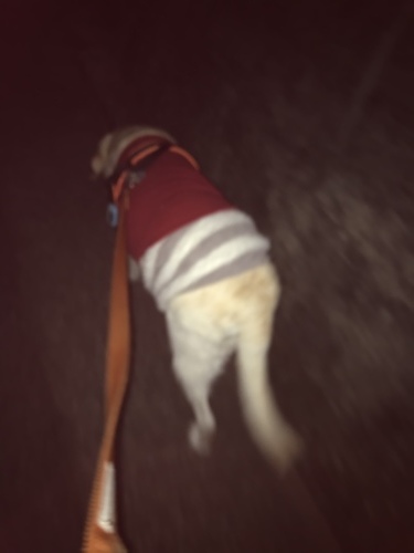 f0315081_21335109.jpeg