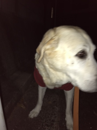 f0315081_21342210.jpeg