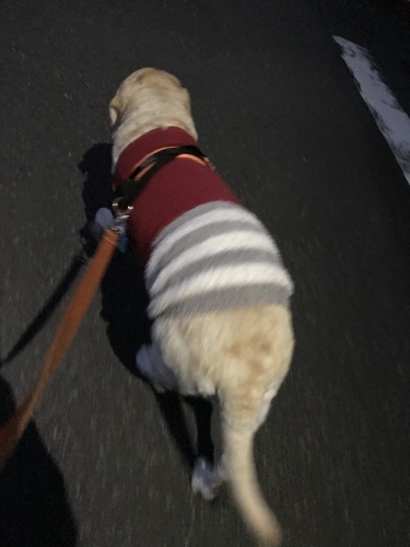 f0315081_21352548.jpeg