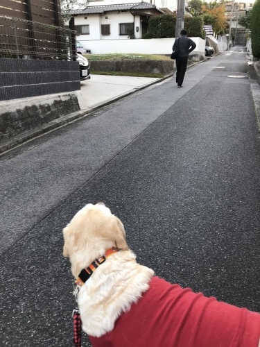f0315081_21381242.jpeg