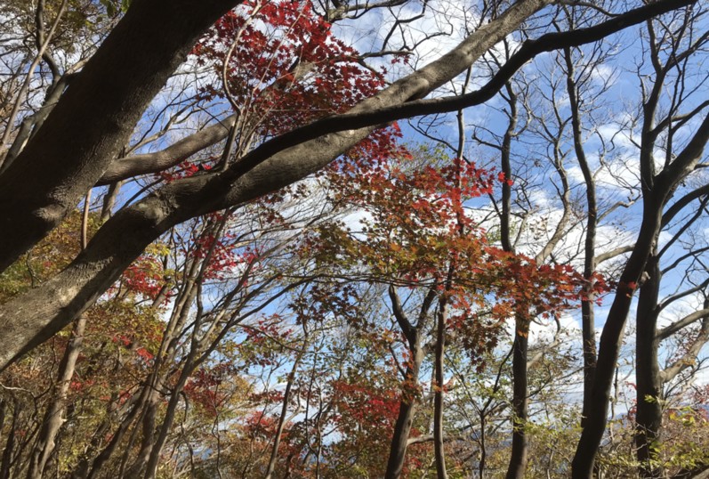 c0144185_0185530.jpg