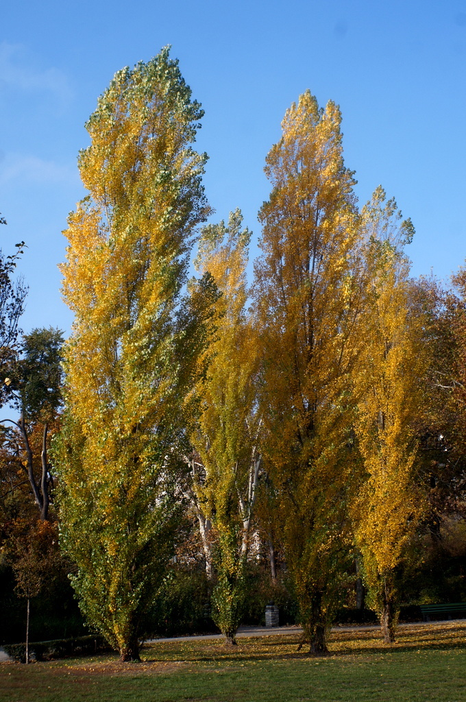 c0180686_02275736.jpg