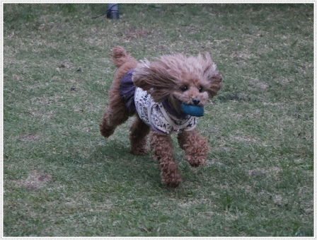 b0175688_22431831.gif