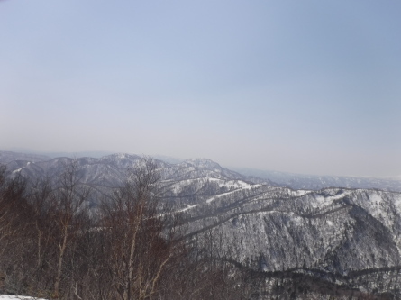 d0198793_16473496.jpg