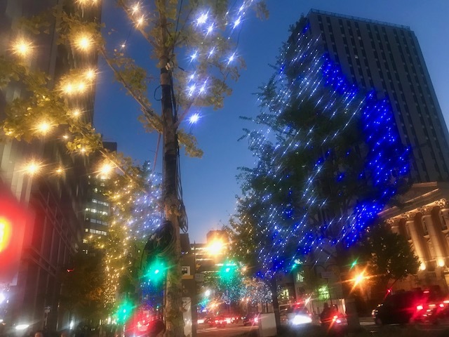a0050302_11074849.jpg