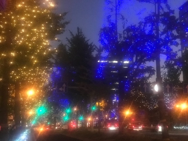 a0050302_11080051.jpg