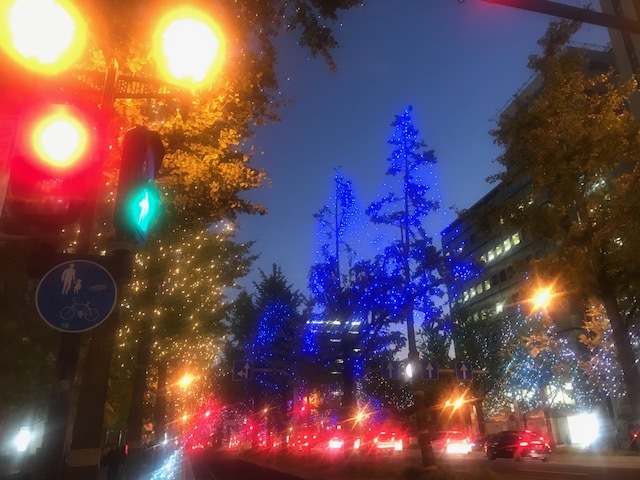a0050302_11081061.jpg