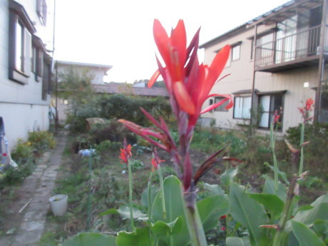 a0203003_17274332.jpg