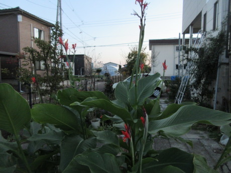 a0203003_17281119.jpg