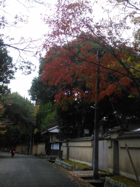 c0149408_08520593.jpg