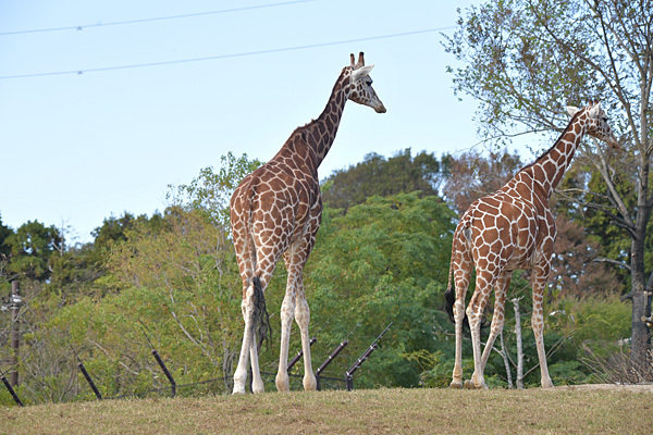 a0278809_15073015.jpg