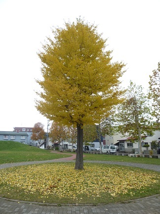 b0198109_22265441.jpg