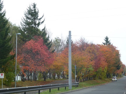 b0198109_22271287.jpg