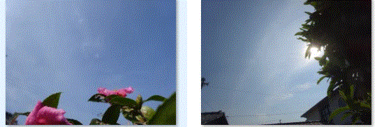 f0231709_12145507.gif