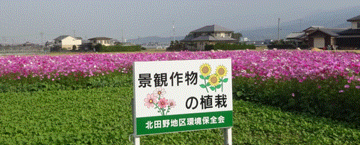 f0231709_22412040.gif