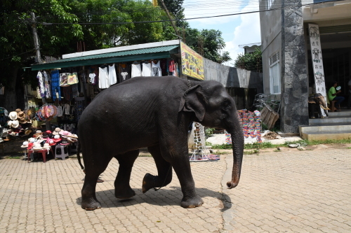 d0332816_00303326.jpg