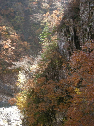 e0206820_18551099.jpg